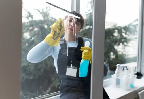 Nettoyage de vitres intérieures et extérieures à Saint-Christophe-en-Boucherie
